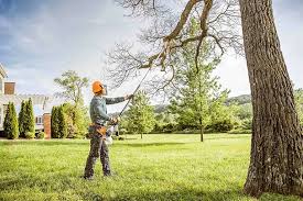 Best Grass Overseeding  in Arlington Heights, IL