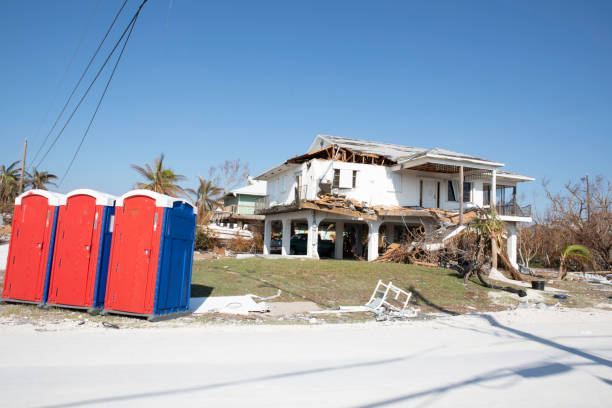 Professional Tree Removal in Arlington Heights, IL